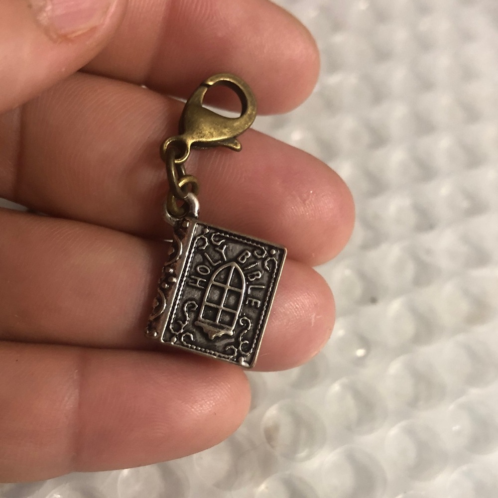 Assorted Silver Charms Collection - image 3